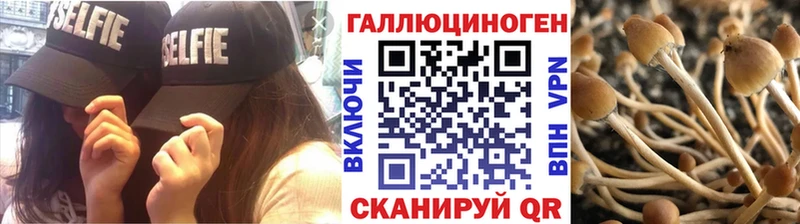 Галлюциногенные грибы Magic Shrooms Называевск