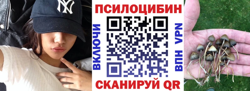 Псилоцибиновые грибы мицелий  Купить где  Называевск 